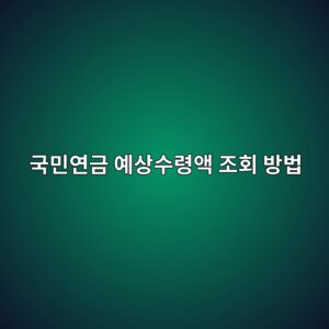 국민연금 예상수령액 조회 방법 총정리 2 eab5adebafbcec97b0eab888 ec9888ec8381ec8898eba0b9ec95a1 eca1b0ed9a8c ebb0a9ebb295 1786880991