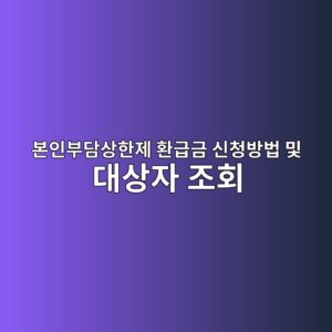 본인부담상한제 환급금 신청방법 및 대상자 조회 2 ebb3b8ec9db8ebb680eb8bb4ec8381ed959ceca09c ed9998eab889eab888 ec8ba0ecb2adebb0a9ebb295 ebb08f eb8c80ec8381ec9e90 eca1b0ed9a8c 1786932243